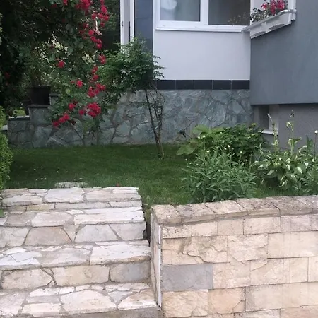 Luna Misevici Villa *