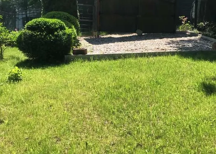 Luna Misevici Villa *